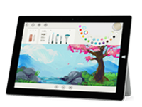 凤阳Surface 无法开启、Windows 无法启动或电池无法充电